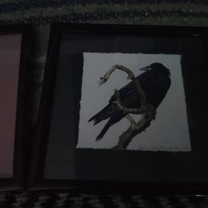 Tammy added a photo of their purchase