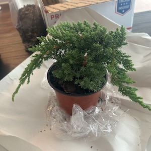 Gen added a photo of their purchase