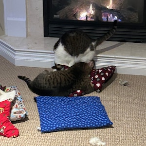 Eric heeft een foto van de aankoop toegevoegd