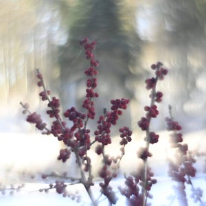 Bogdan added a photo of their purchase