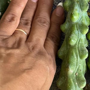 Maribel added a photo of their purchase