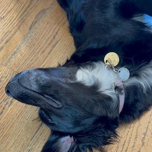 Sadie ha añadido una foto de su compra