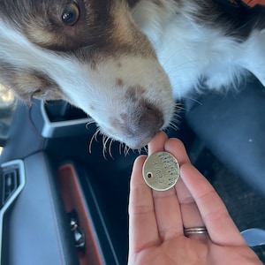 Alana added a photo of their purchase