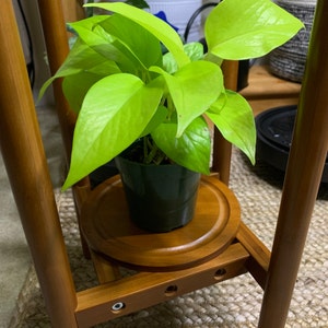 Anna added a photo of their purchase