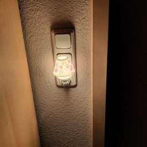 Hubert ha aggiunto una foto del proprio acquisto