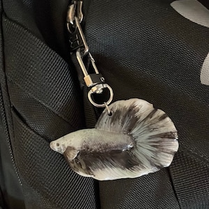 Cole added a photo of their purchase