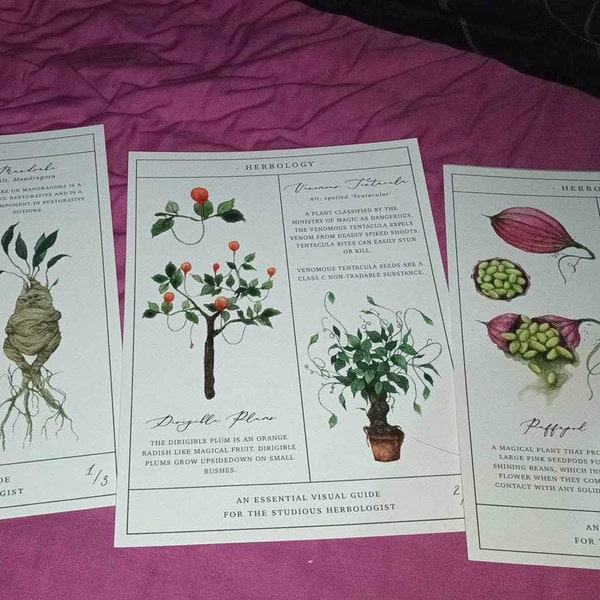 Herbology Chart A4 Print Set - Etsy
