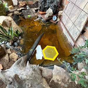 Île Flottante Pour Abeilles - Plateforme D'abreuvement En EVA - Diamètre 20cm - Jaune