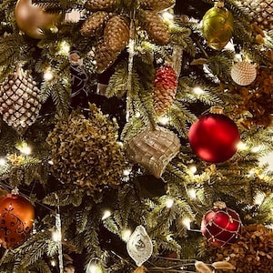 Jill added a photo of their purchase