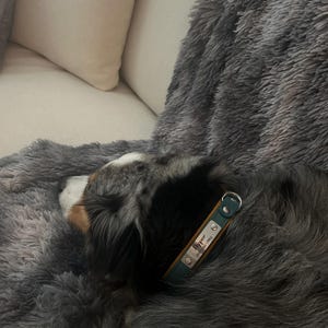 Kodi heeft een foto van de aankoop toegevoegd