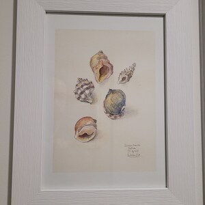 Mario ha añadido una foto de su compra