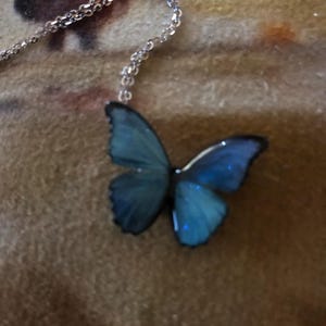 Anne added a photo of their purchase