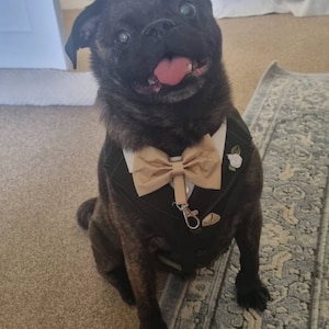 Holly ha añadido una foto de su compra