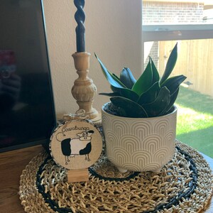 Megan ha añadido una foto de su compra