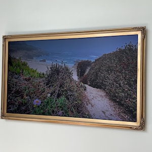Jake added a photo of their purchase