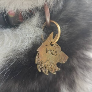 Kelly added a photo of their purchase