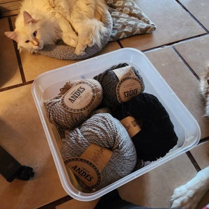 Chell added a photo of their purchase