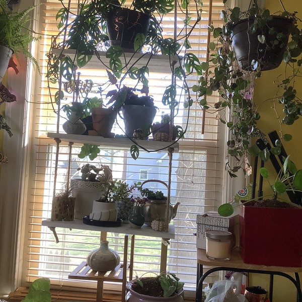 3 Tier Hanging Plant Shelf - Etsy