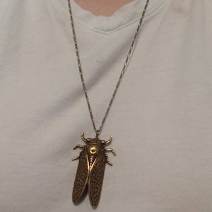 Molly ha añadido una foto de su compra