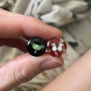 Kit added a photo of their purchase