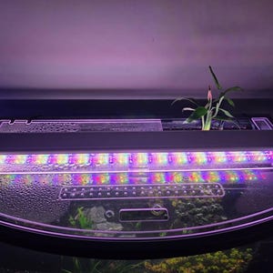 Alikat added a photo of their purchase