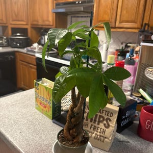 Sandra added a photo of their purchase