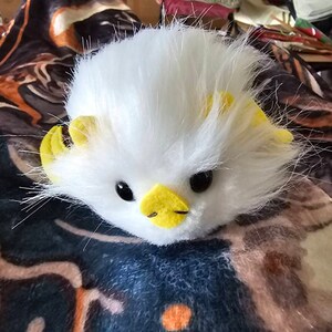 ホンジュラスコウモリのぬいぐるみ、白いコウモリ、毛皮のおもちゃ