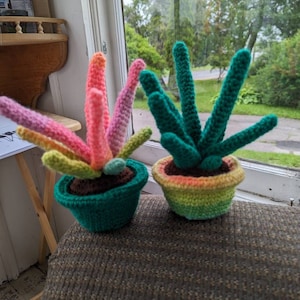 Katherine added a photo of their purchase