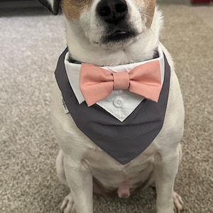 Brooke added a photo of their purchase