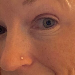 Pagoda nose deals piercing price
