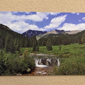 Chris added a photo of their purchase