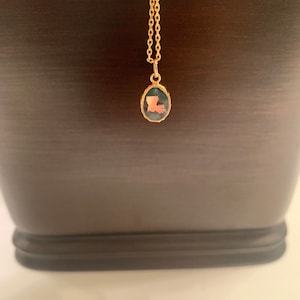 Allison added a photo of their purchase