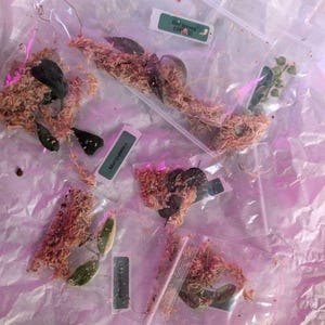 Krystal added a photo of their purchase