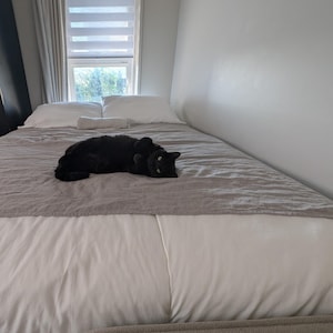 L added a photo of their purchase