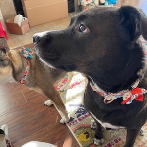 Brystol added a photo of their purchase