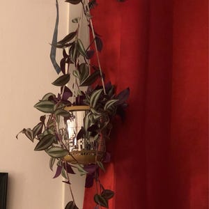 Louise added a photo of their purchase