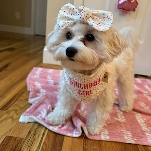 Ivey added a photo of their purchase