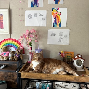 Atley added a photo of their purchase