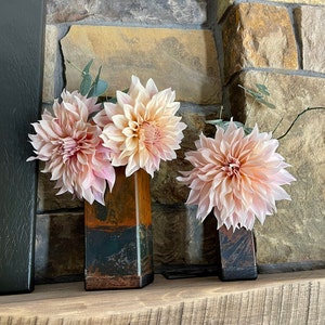 Barbara added a photo of their purchase