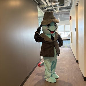 Custom Costume and Head - Custom Mascot Head and full mascot + message to order