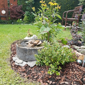 Susanne added a photo of their purchase