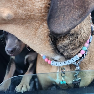 Tracey added a photo of their purchase