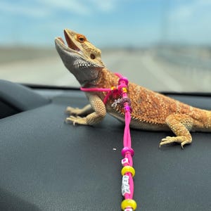 Myah added a photo of their purchase