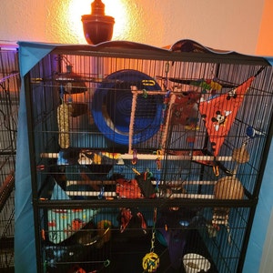 Lacey added a photo of their purchase