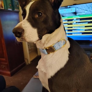 Tracy ha añadido una foto de su compra