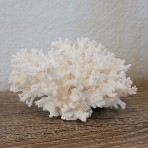 Chris さんが購入した商品の写真を追加しました