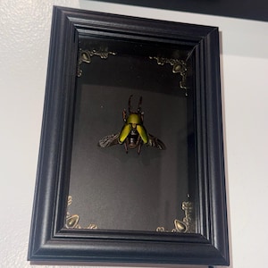 Madi added a photo of their purchase