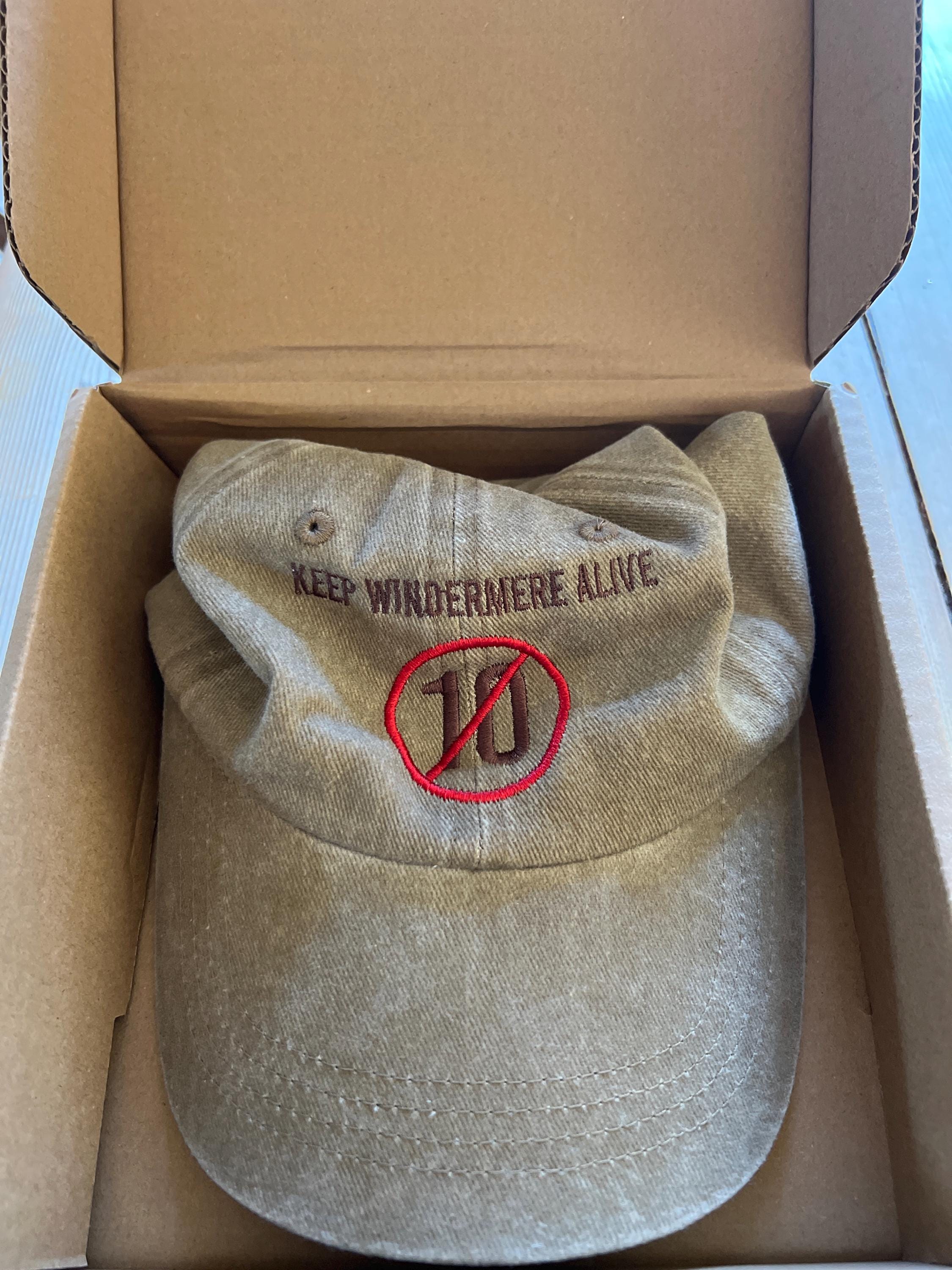 Custom Embroidered Dad Cap Washed Dad Hat Unstructured Gym Cap Bachelor Party Bachelorette Party Gift business merch 24031801