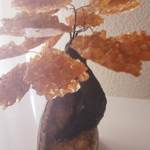 Roosters added a photo of their purchase