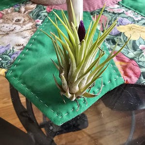 Etsy buyer added a photo of their purchase